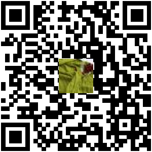 Code QR du produit