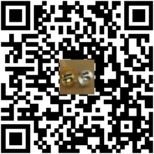 Code QR du produit