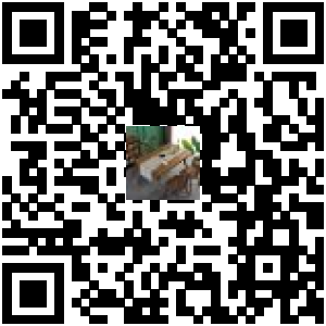 Code QR du produit