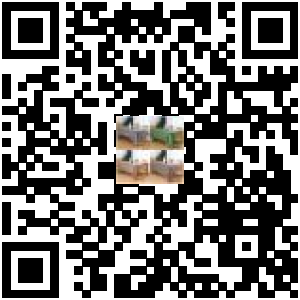 Code QR du produit