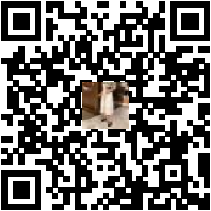 Code QR du produit