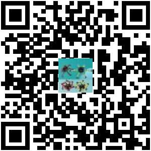 Code QR du produit