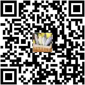 Code QR du produit