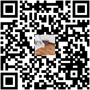 Code QR du produit