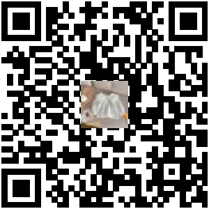 Code QR du produit
