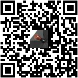 Code QR du produit