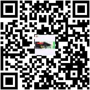 Code QR du produit