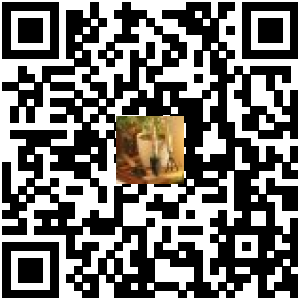 Code QR du produit