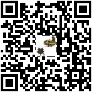 Code QR du produit