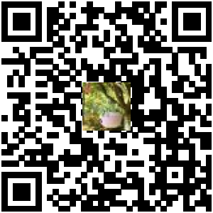 Code QR du produit