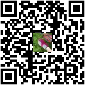 Code QR du produit