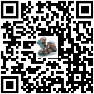 Code QR du produit