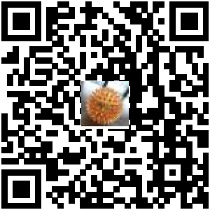 Code QR du produit