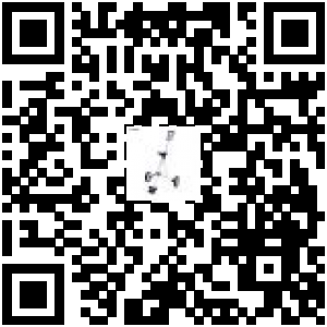 Code QR du produit