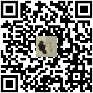 Code QR du produit
