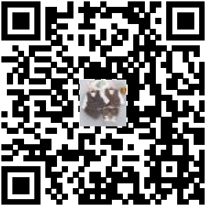Code QR du produit