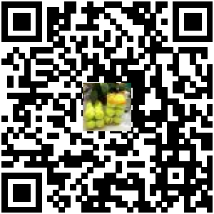 Code QR du produit