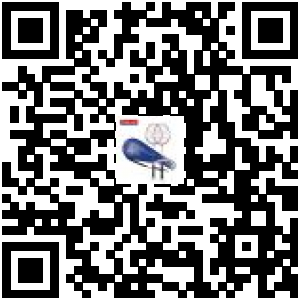 Code QR du produit