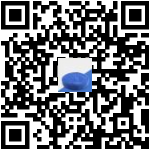 Code QR du produit