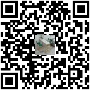 Code QR du produit