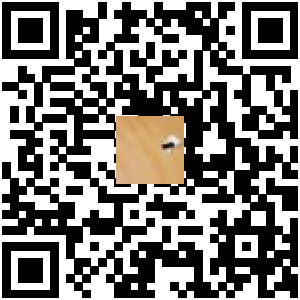Code QR du produit