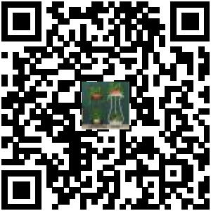 Code QR du produit