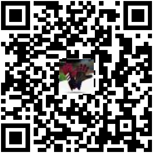 Code QR du produit