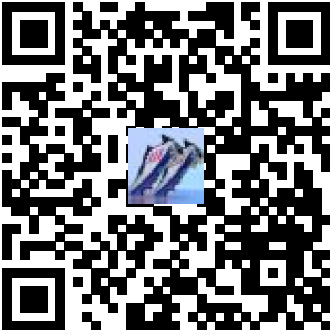 Code QR du produit