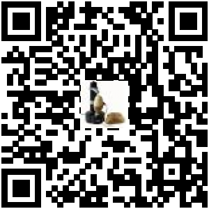 Code QR du produit