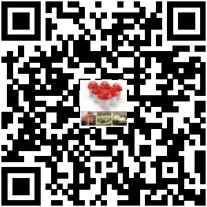Code QR du produit