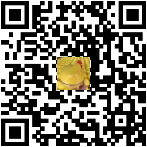 Code QR du produit