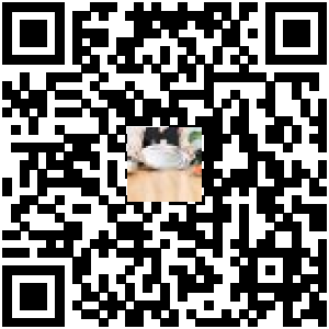 Code QR du produit