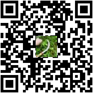 Code QR du produit