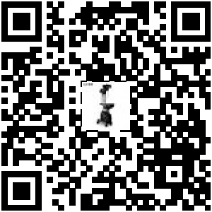 Code QR du produit