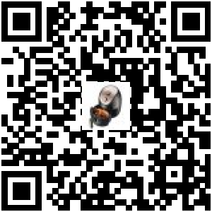Code QR du produit