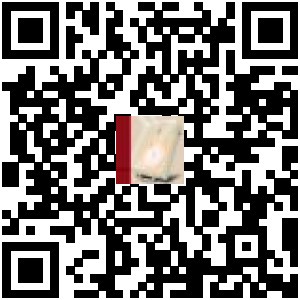 Code QR du produit