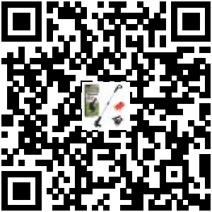 Code QR du produit