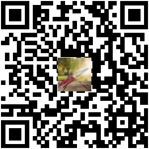 Code QR du produit