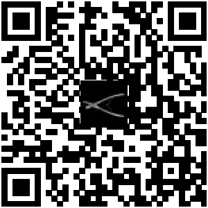 Code QR du produit