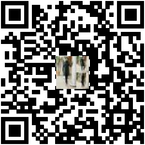 Code QR du produit