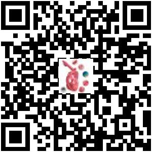 Code QR du produit