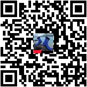 Code QR du produit