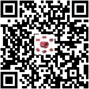 Code QR du produit