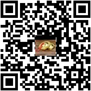 Code QR du produit