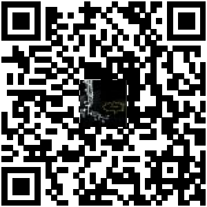 Code QR du produit