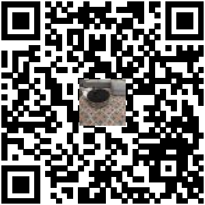 Code QR du produit