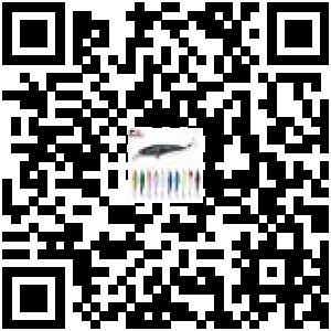 Code QR du produit