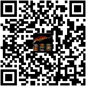 Code QR du produit