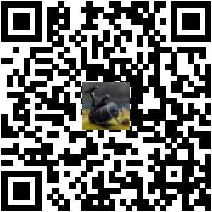 Code QR du produit