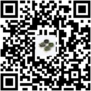Code QR du produit
